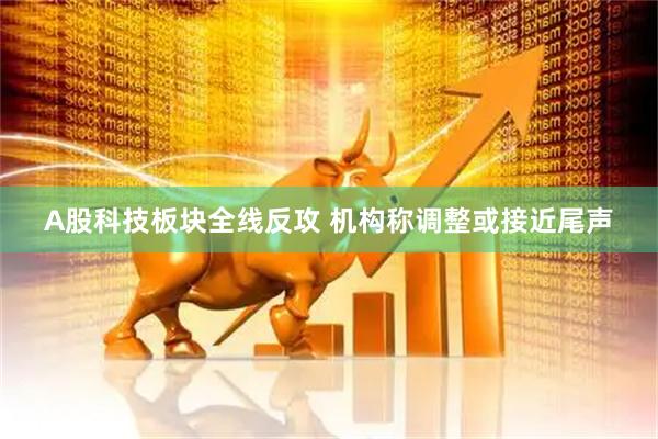 A股科技板块全线反攻 机构称调整或接近尾声
